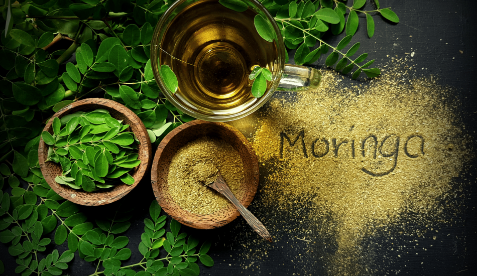 Le Moringa : un allié nutritionnel pour une alimentation saine