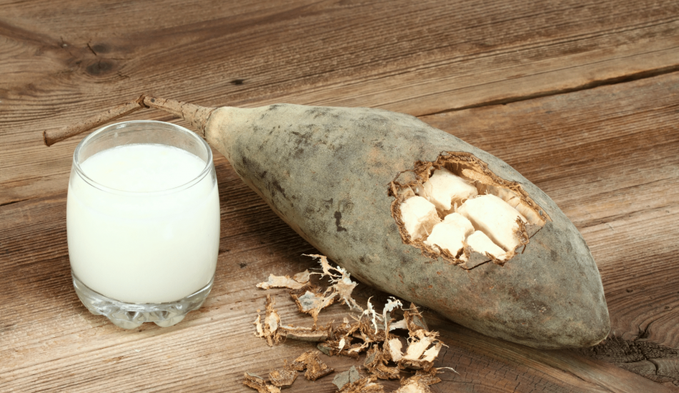Les fruits du baobab, une richesse nutritionnelle insoupçonnée